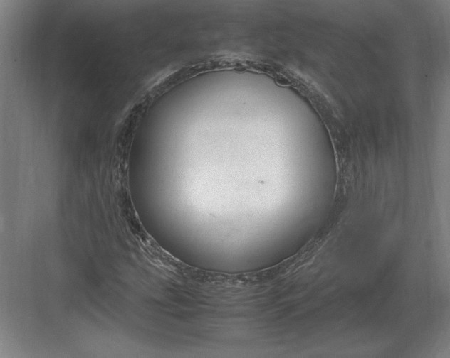 X0000083001207200702160040