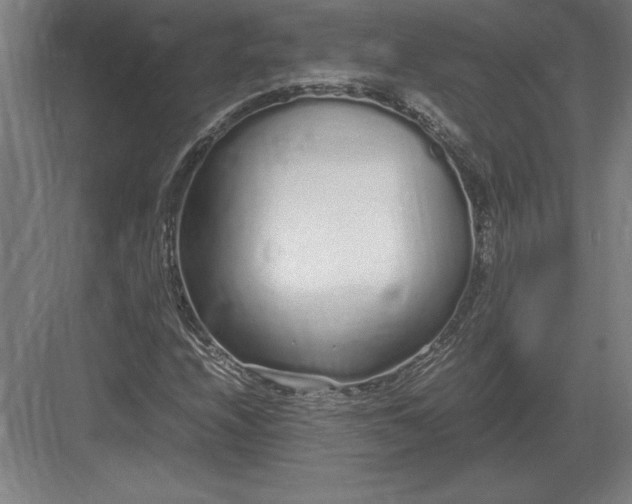 X0000083001208200702160040