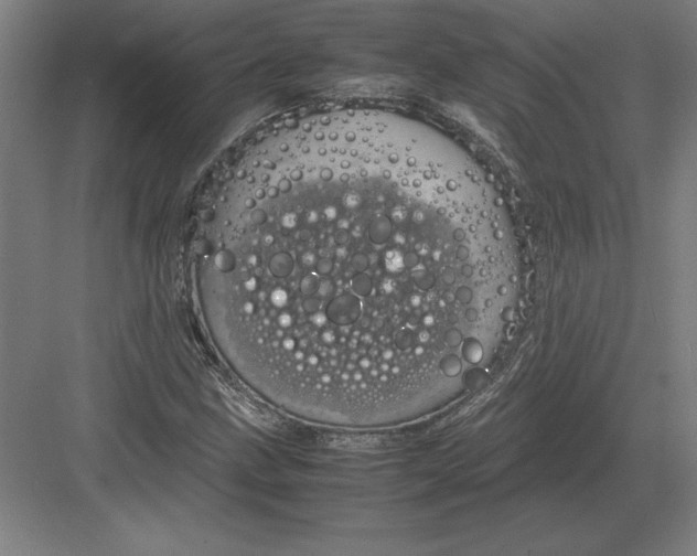 X0000083001211200702160040