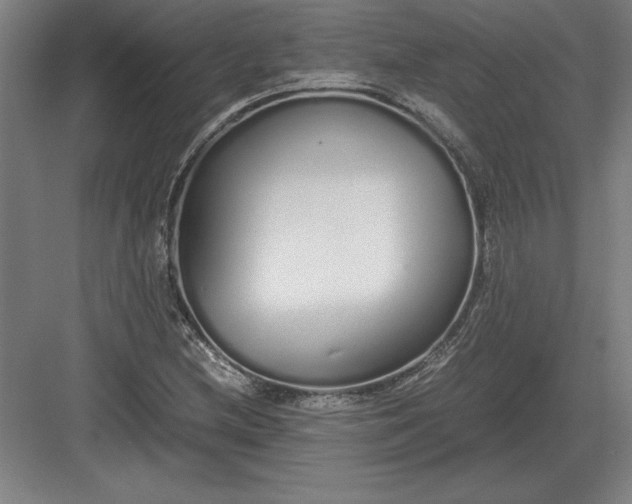 X0000083001212200702160040