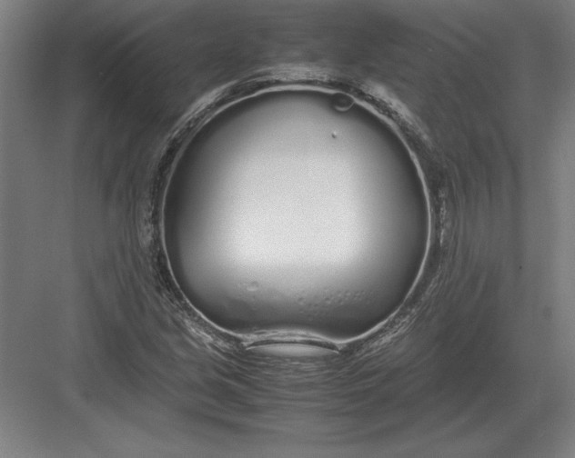 X0000083001213200702160041