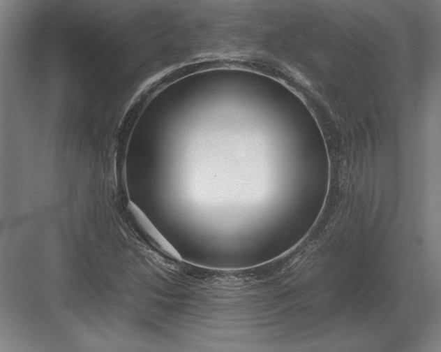 X0000083001214200702160041