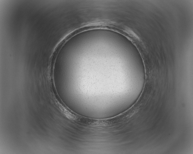 X0000083001216200702160041