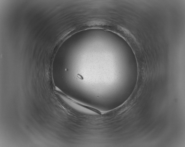 X0000083001217200702160041