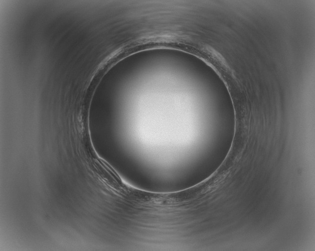 X0000083001218200702160041