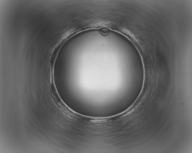 X0000083001219200702160041