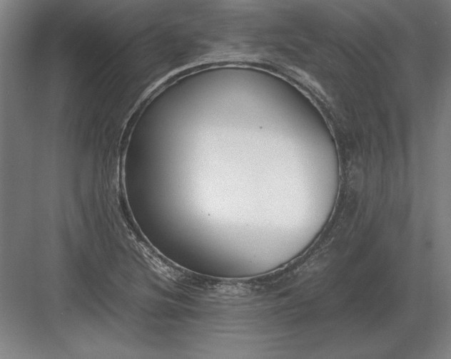 X0000083001220200702160041