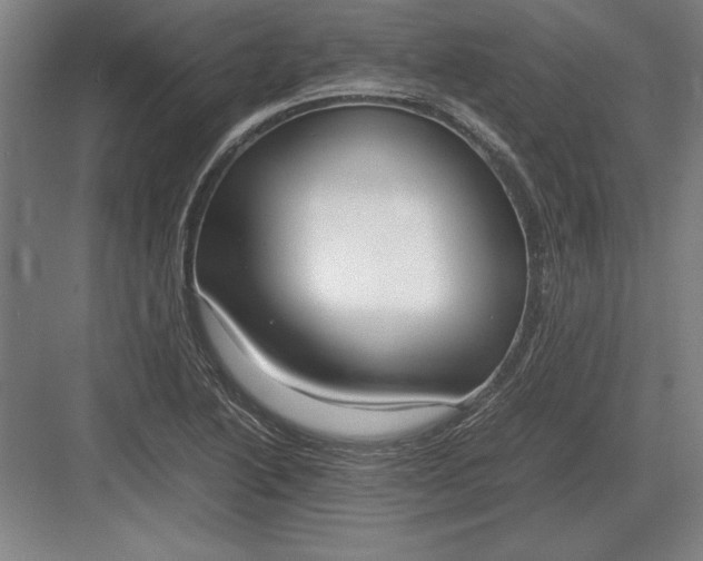 X0000083001222200702160041