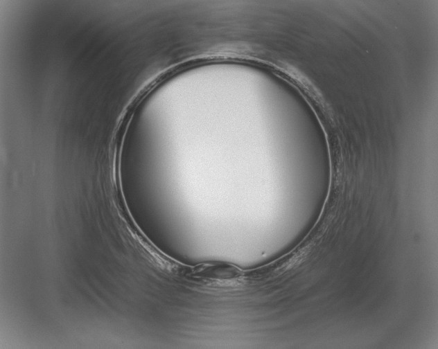 X0000083001224200702160041