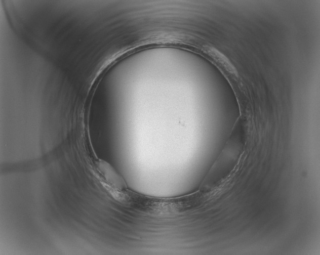 X0000083001226200702160041