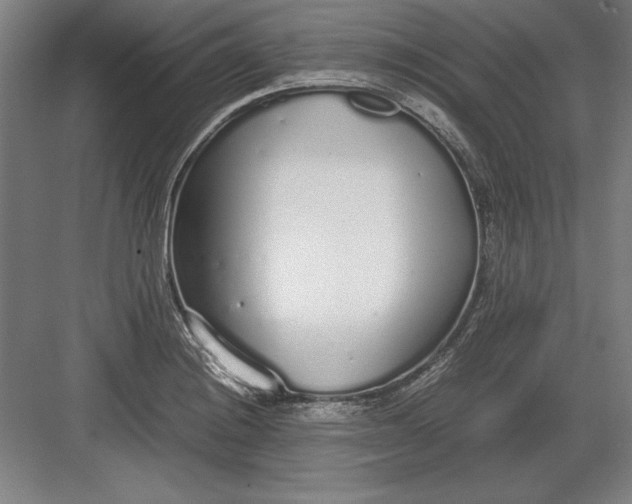 X0000083001228200702160041