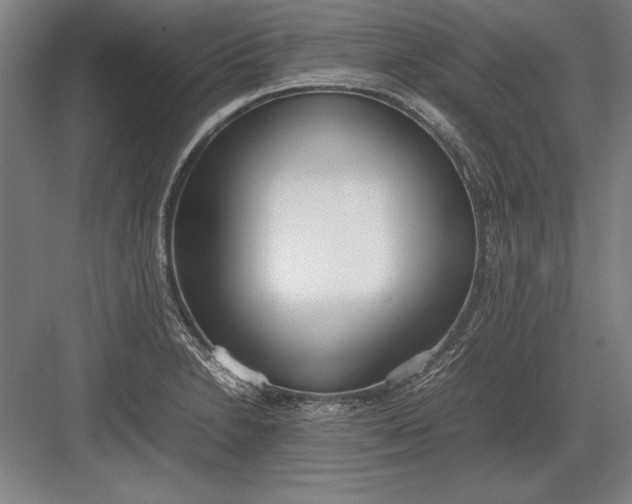 X0000083001230200702160041