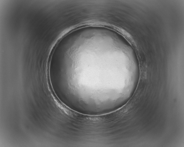 X0000083001231200702160041