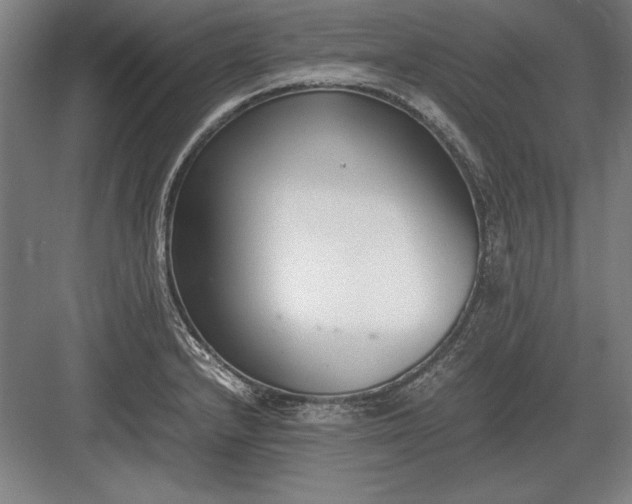 X0000083001232200702160041