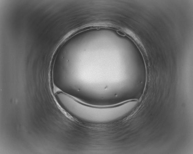 X0000083001237200702160041