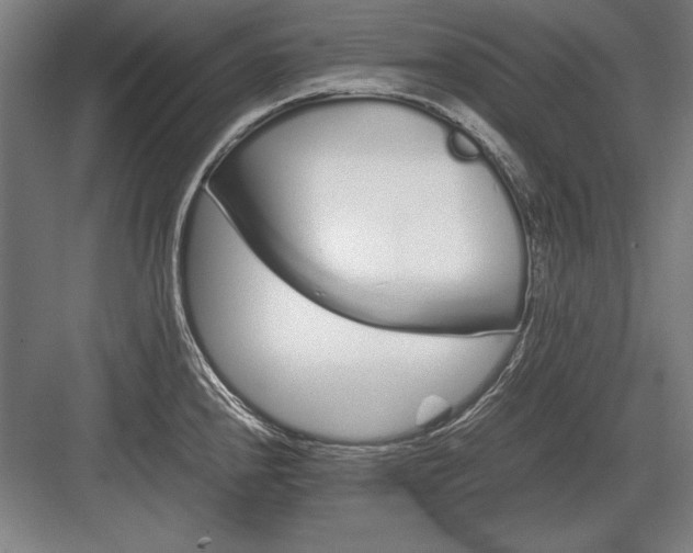 X0000083001240200702160041