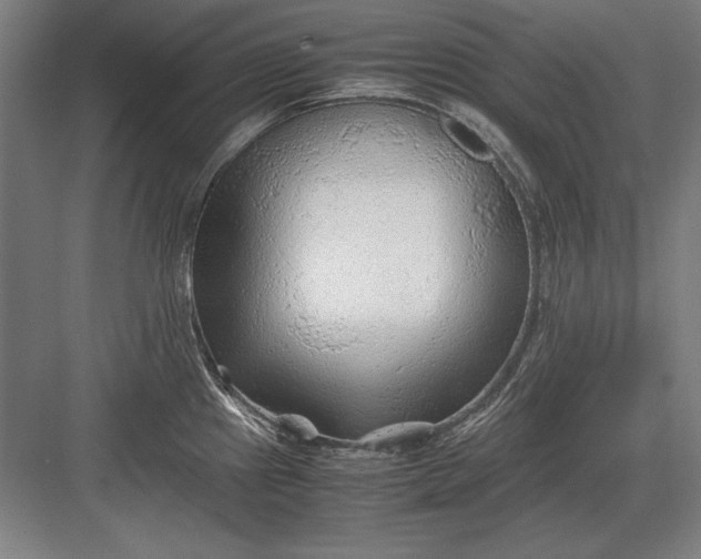 X0000083001241200702160041