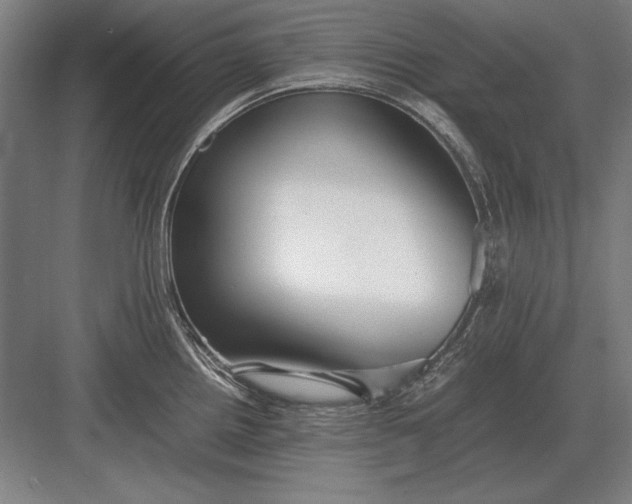 X0000083001242200702160041