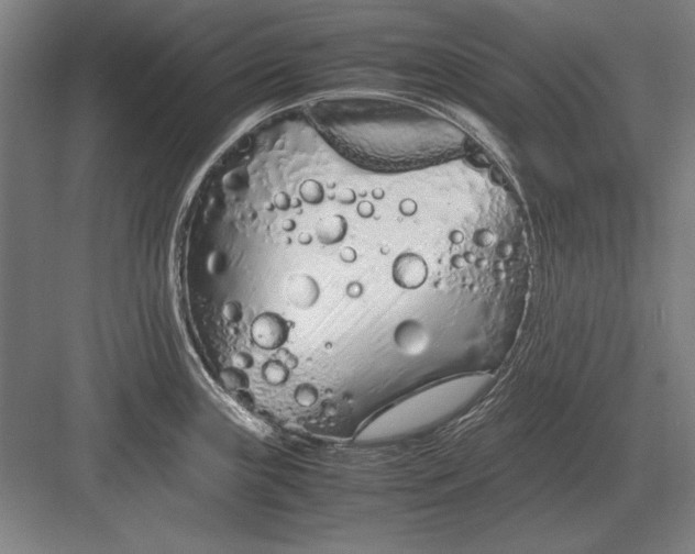 X0000083001243200702160041