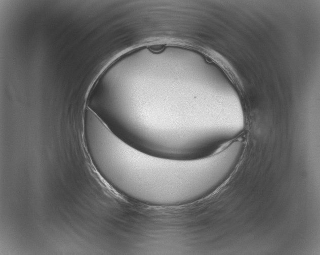 X0000083001244200702160041