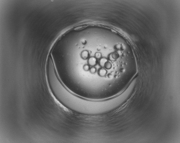 X0000083001247200702160041