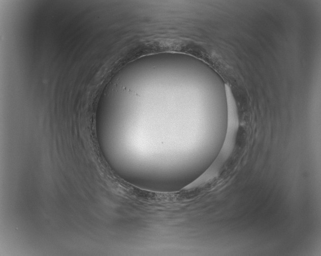 X0000083001249200702160040