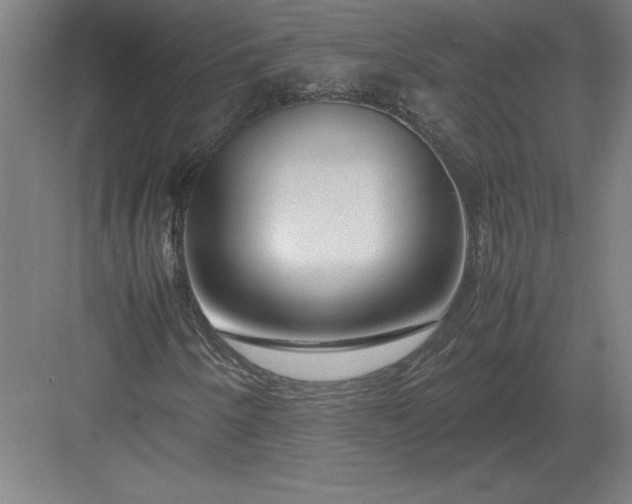 X0000083001250200702160040