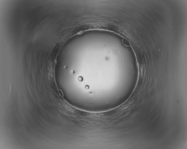 X0000083001251200702160040