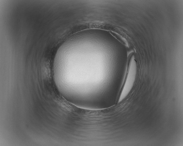 X0000083001252200702160040