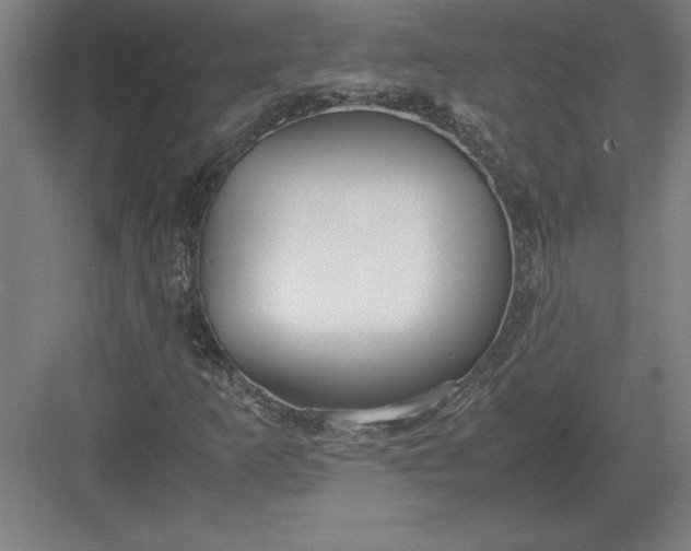 X0000083001253200702160040