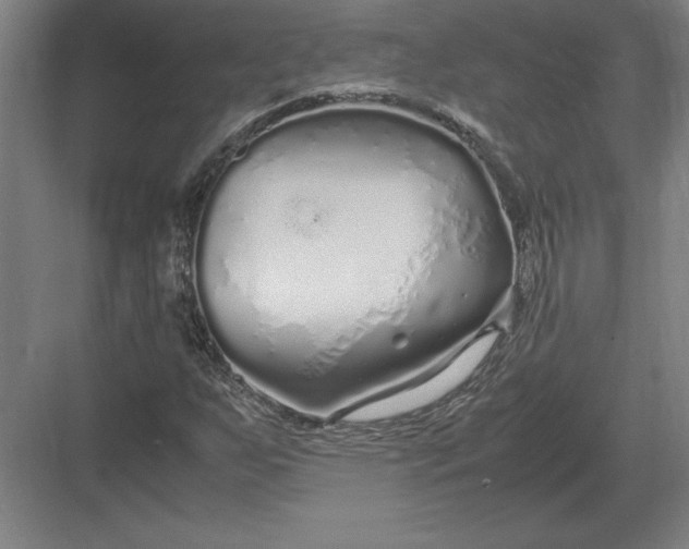 X0000083001255200702160040