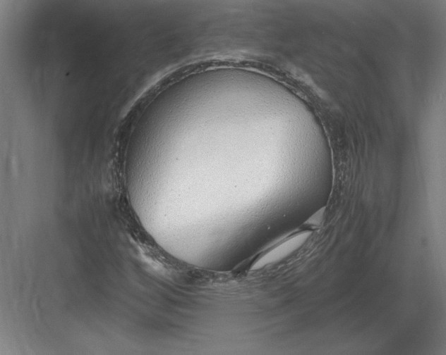 X0000083001256200702160040