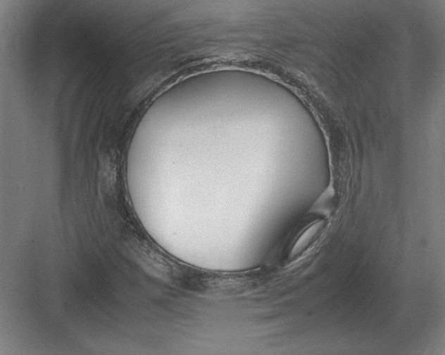 X0000083001257200702160040