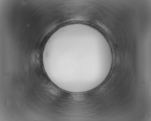 X0000083001258200702160040