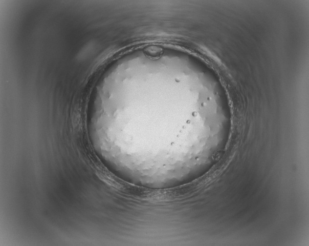 X0000083001259200702160040