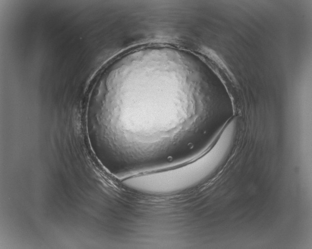 X0000083001260200702160040