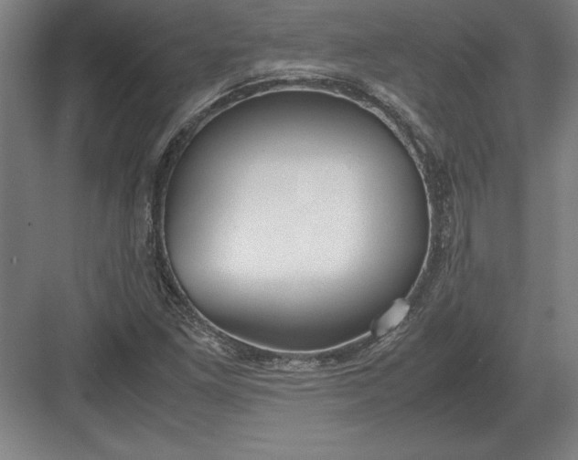 X0000083001261200702160040