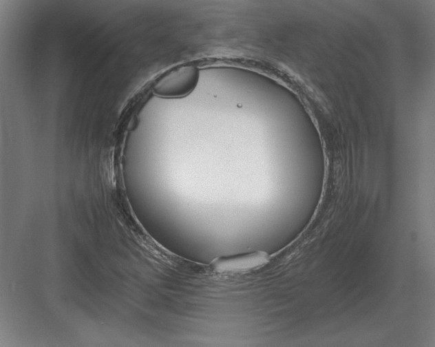 X0000083001262200702160040