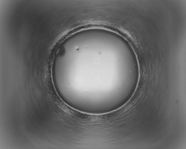 X0000083001263200702160040