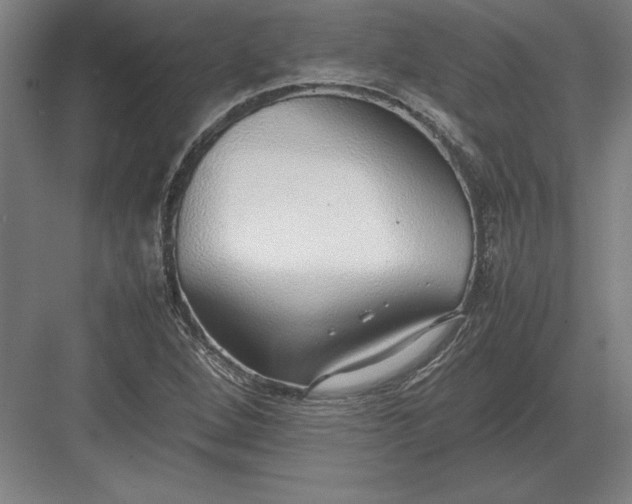 X0000083001264200702160040