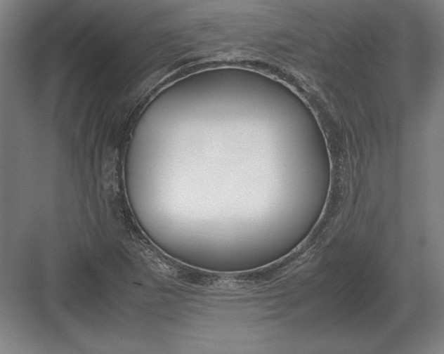 X0000083001265200702160040