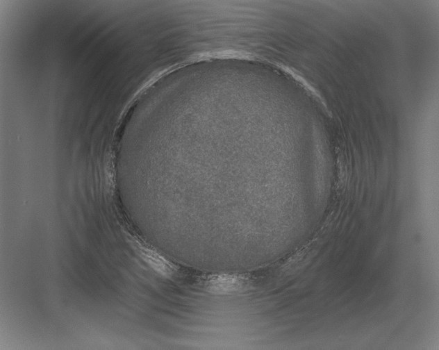 X0000083001266200702160040