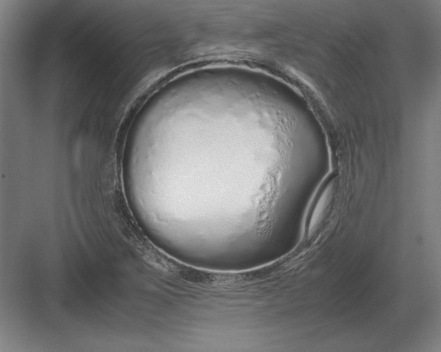 X0000083001267200702160040