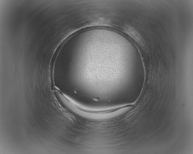 X0000083001268200702160040