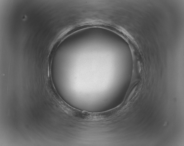 X0000083001269200702160040