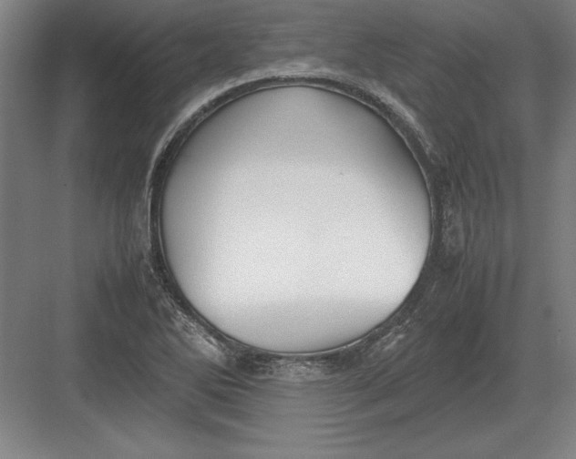 X0000083001270200702160040