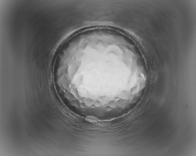 X0000083001271200702160040