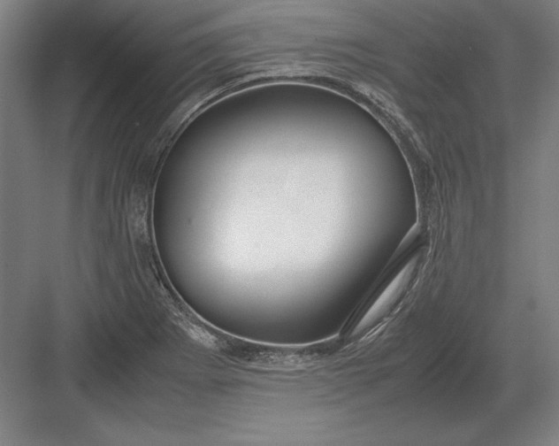 X0000083001273200702160040