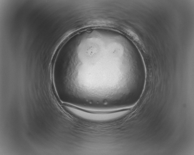 X0000083001275200702160040