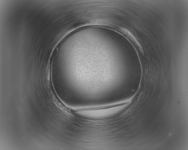 X0000083001276200702160040